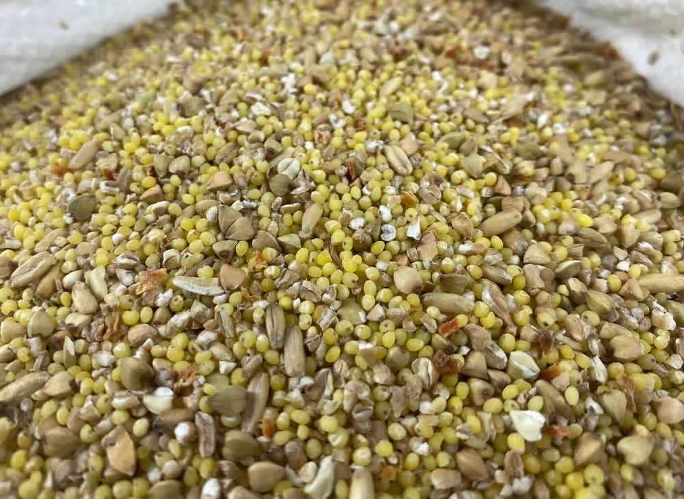 Najzdrowsza Mieszanka Naturalna dla Psa 10KgHumanGradeKarmabezGlifosat