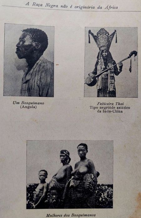 A Raça Negra Não Vem de África