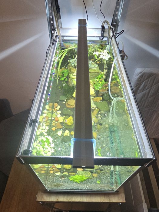 Akwarium 120l z kompletnym wyposarzeniem