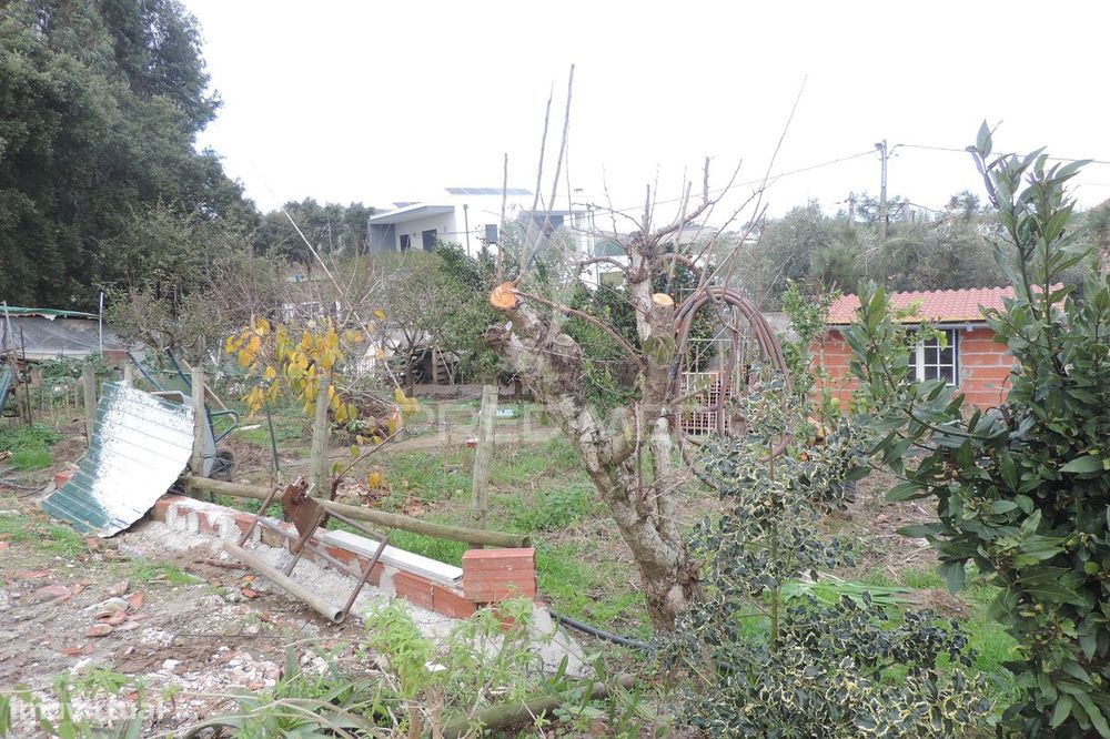 Lote terreno P/ Construção - Toledo / Vimeiro