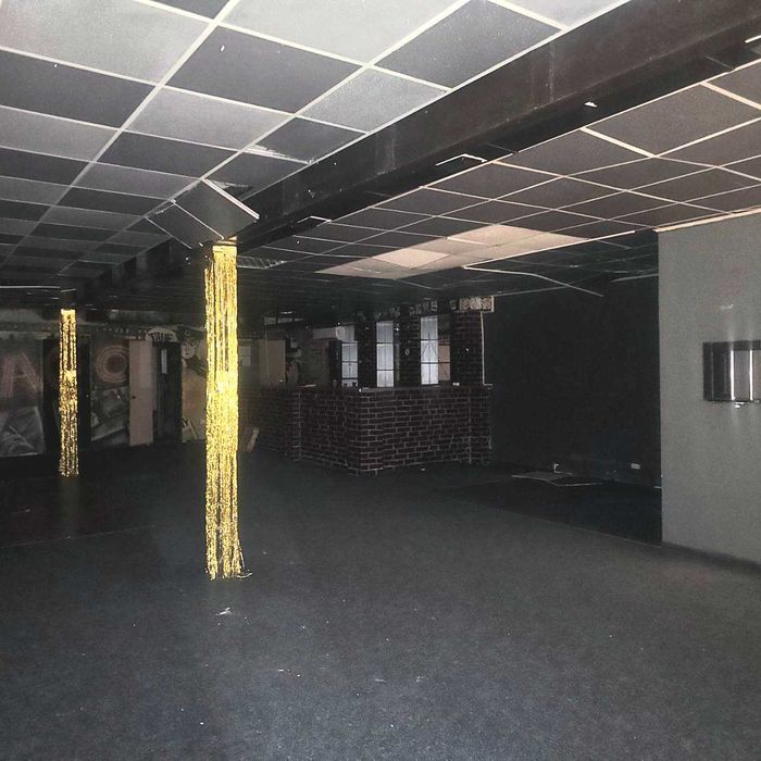 Будівля 271м.кв,в одному рівні,пр.Левка Лукяненка,4.Демократична ціна.