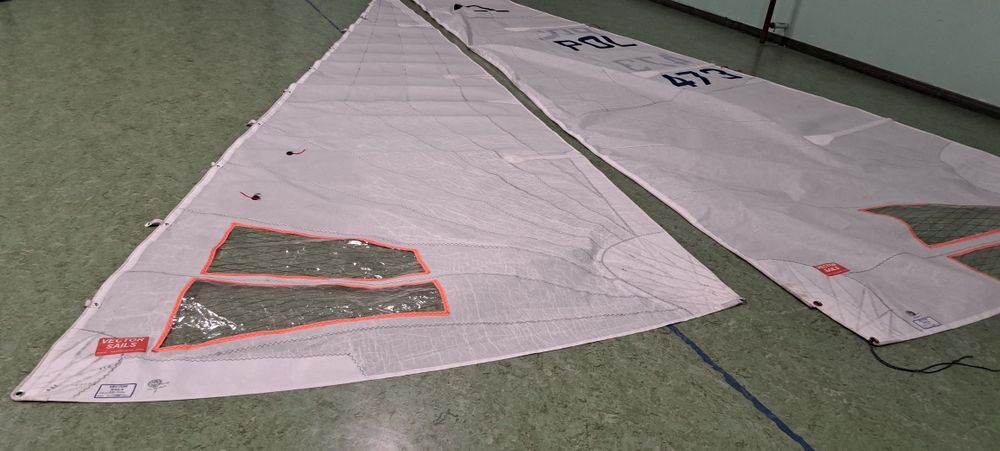 Zagle regatowa do Omegii - Vector Sails 2022 r