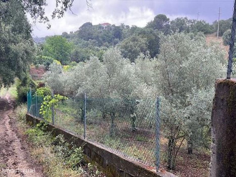 O Seu Refúgio de Sonho com Riacho e Olival a 15min de Torres Novas