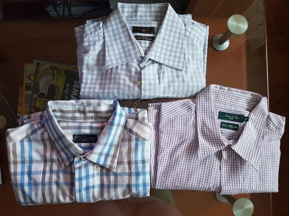 Lote de 3 camisas