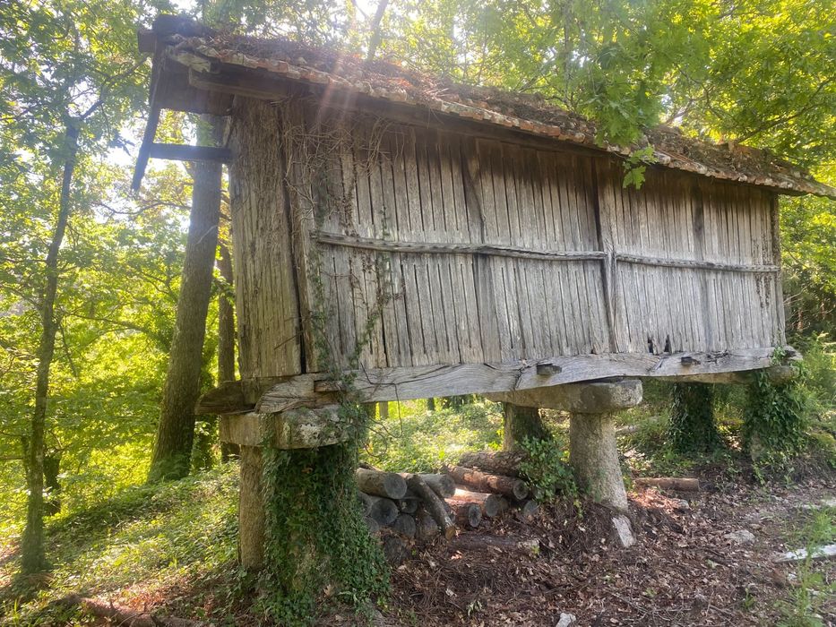 Pedras Espigueiro / canastro