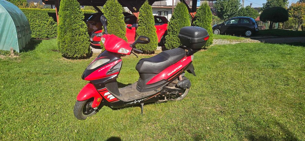 Zipp