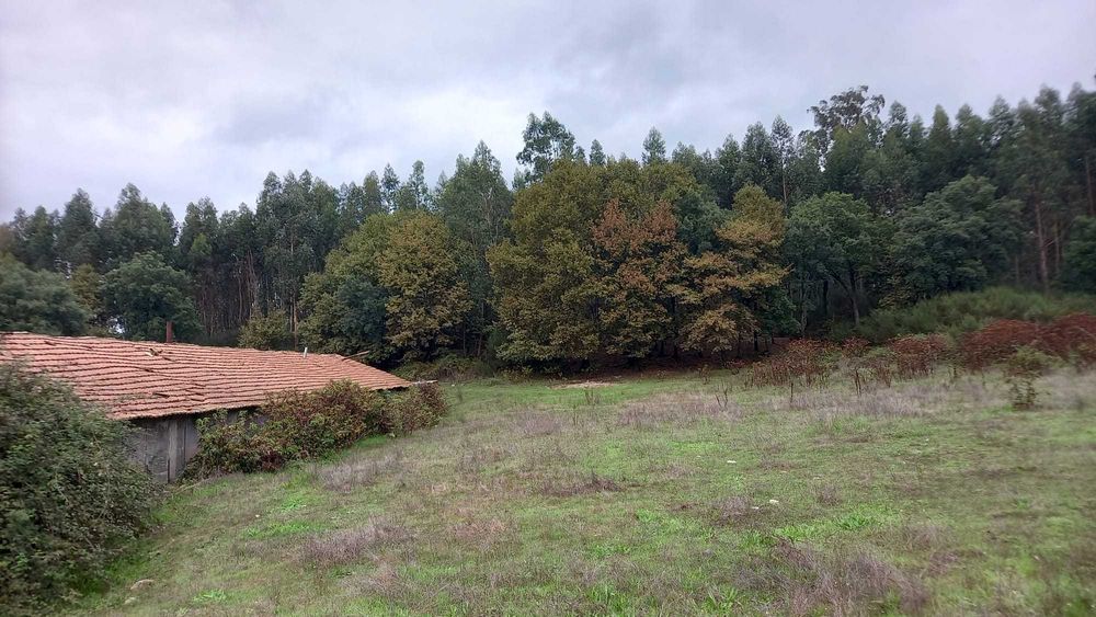 Terreno com 2 aviários