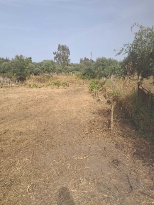 Vende-se terreno/quinta no alentejo a oito km do Crato