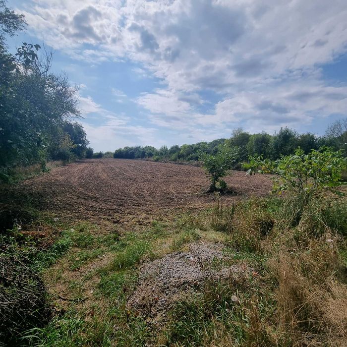 Будинок та земля