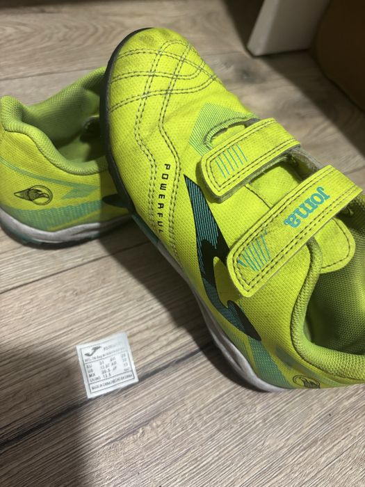 Сороконіжки фути