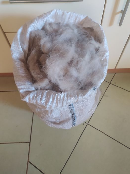 Шерсть Кавказької вівчарки