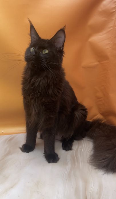 Девочка один год