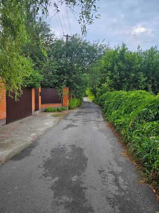 Дзвінкове 27 соток неподалік від лісу