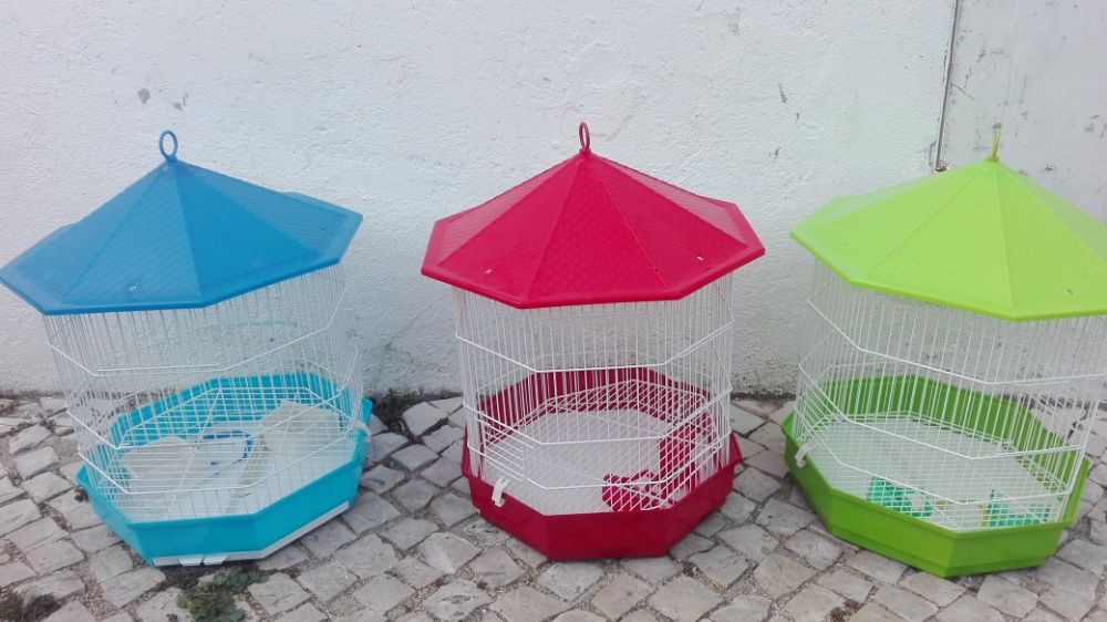 Vendo caturras machos e fêmeas