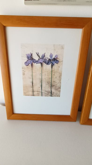 Conjunto de 4 gravuras