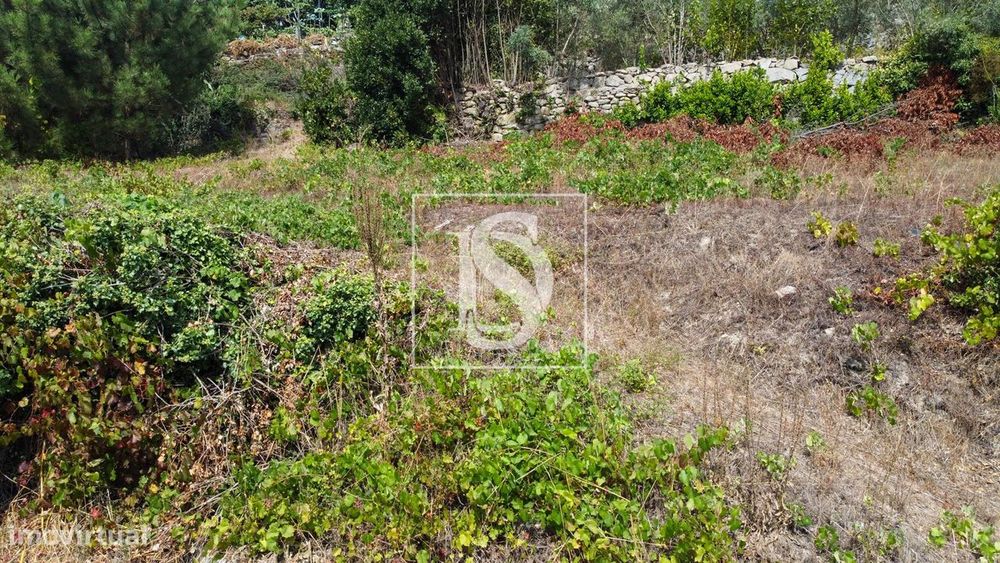 Terreno  Venda em Ancede e Ribadouro,Baião