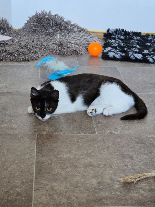 Malutka Müesli do kochania