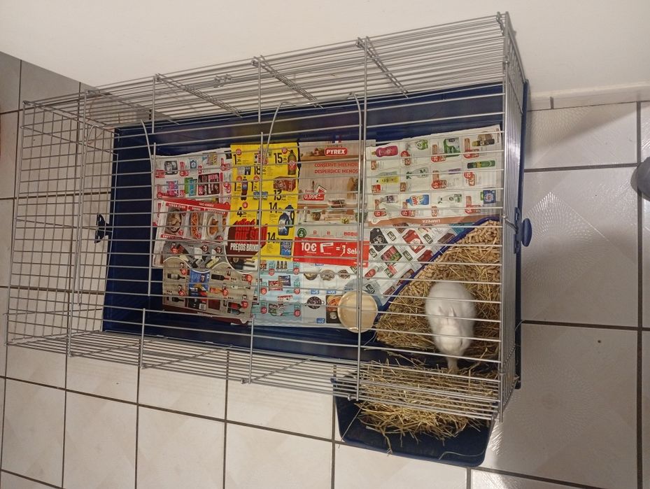 Gaiola para coelho anao
