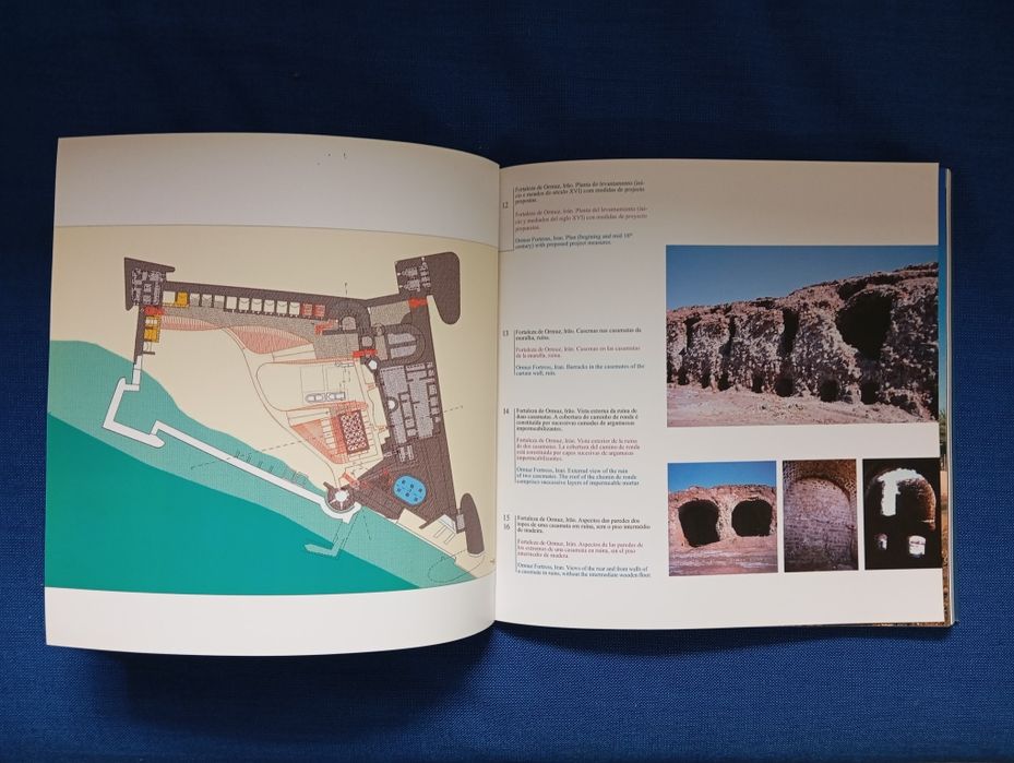 Livro " Almeida, a estrela de Pedra"