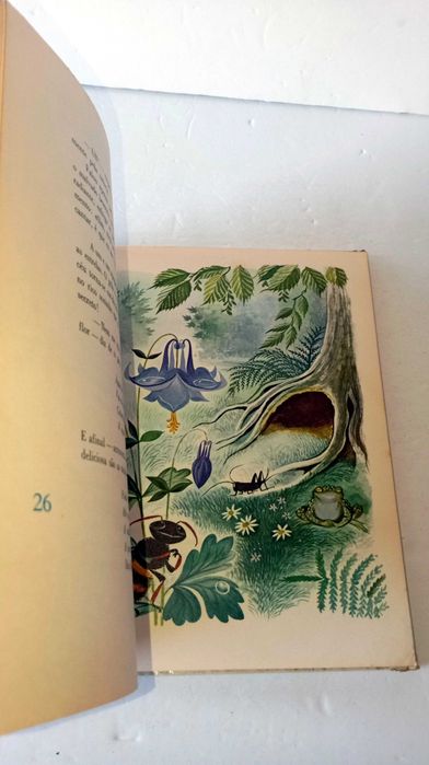 O Bosque Mágico - Biblioteca Infantil