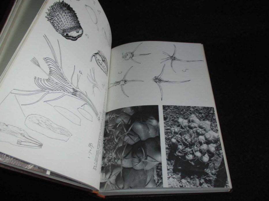 Livros Cactus and Succulent Journal Anos 70