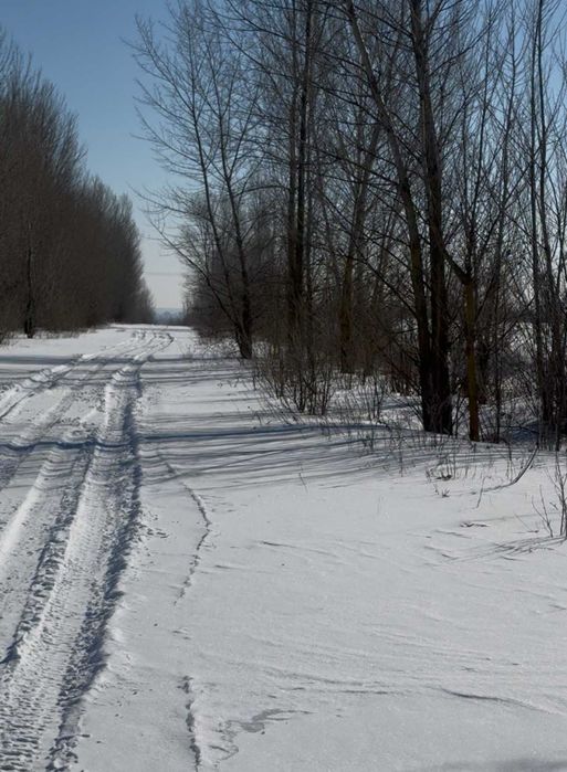 ПРОДАЄМО земельну  ділянку 20 ГА по 300 уе/сотка в Димері, Вишгородський р-н !!
