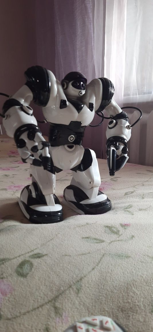 Robot tt313 2025