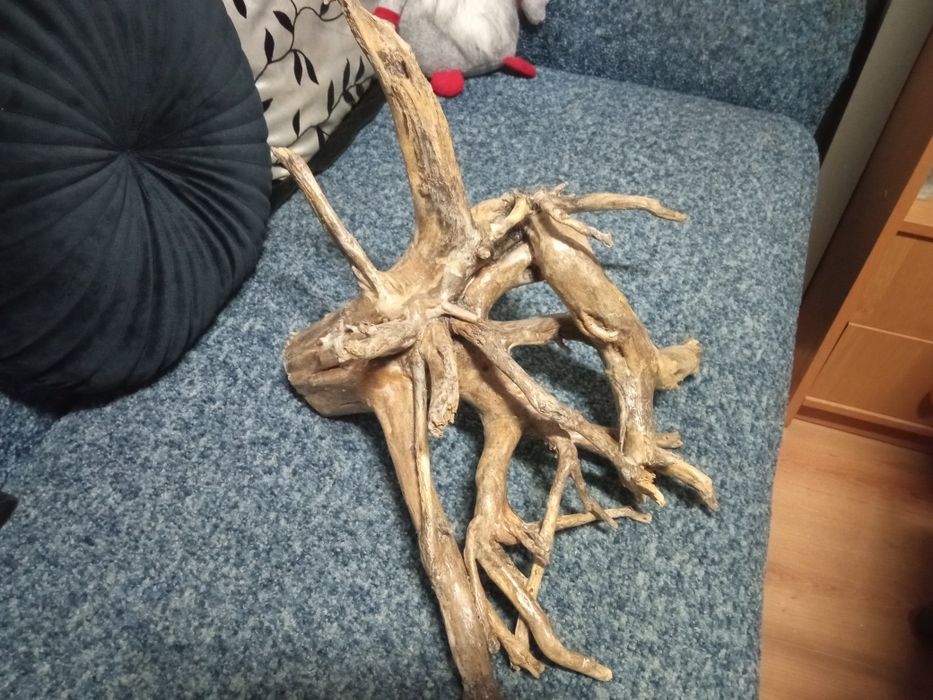 Коряги для декора