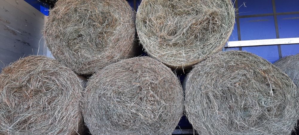 Sprzedam Sucha Słoma Siano oraz Sianokiszonka. Cena z Transportem