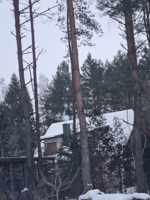 Zimowe noce las i widok gwiazd. Modrzewiowy domek nad Wkrą zaprasza