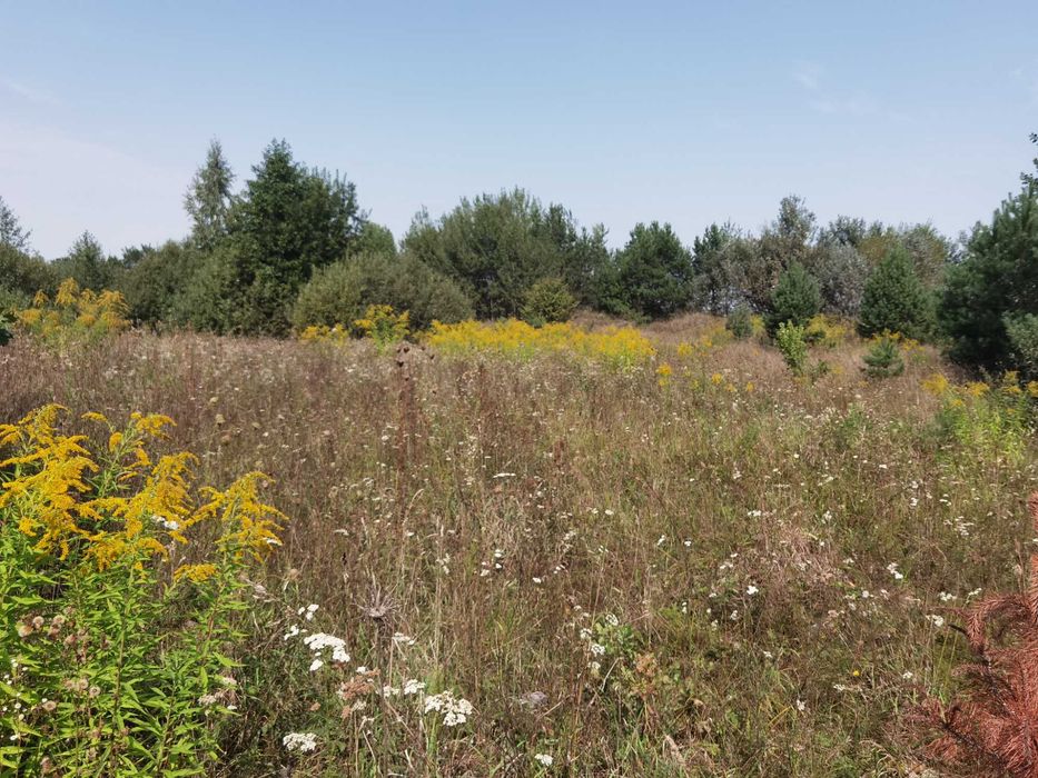 Земля під будівництво