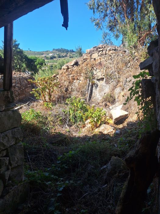 Casa de ruina con terreno