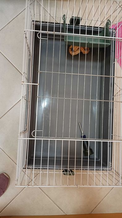 Gaiola para porquinho da Índia e coelhos