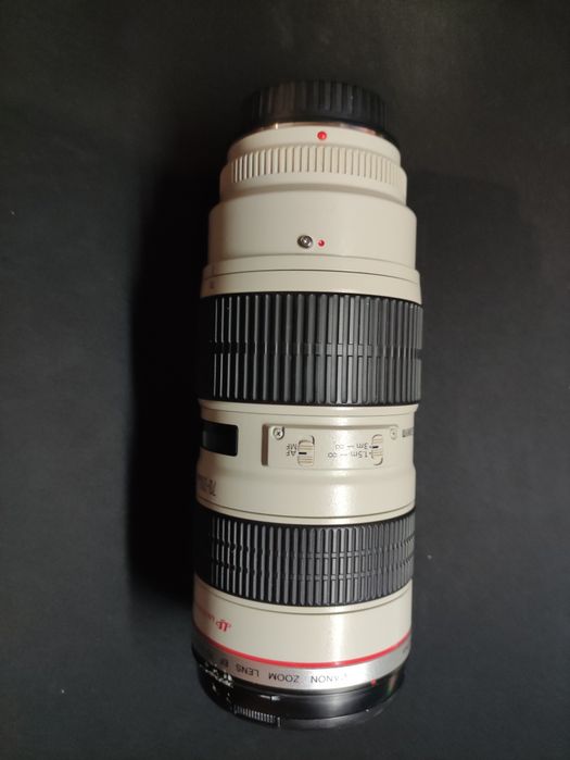 Canon EF 70-200mm f/2.8 usm
