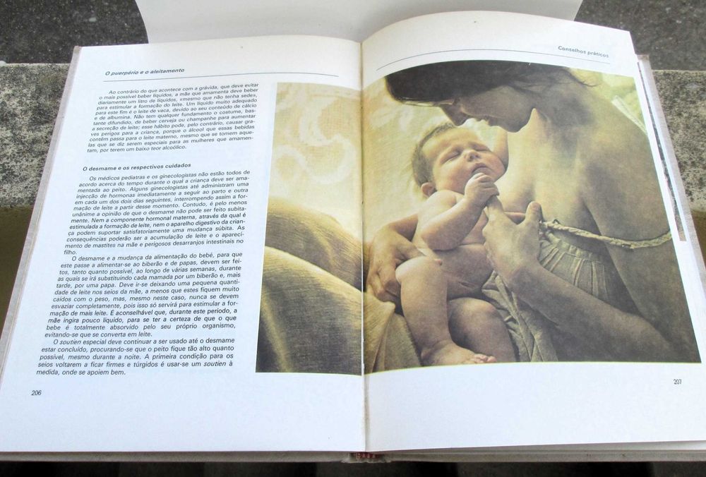 O Livro do Casal, Maternidade (volume II)