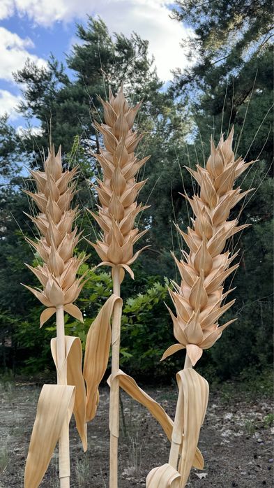 Ростові квіти