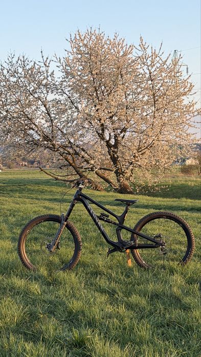 Canyon Spectral cf 27.5 carbon custom industry nine