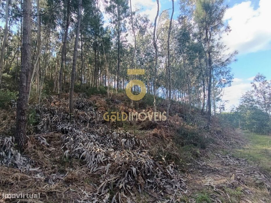Terreno Rústico  Venda em Galegos,Penafiel — Galegos, Porto