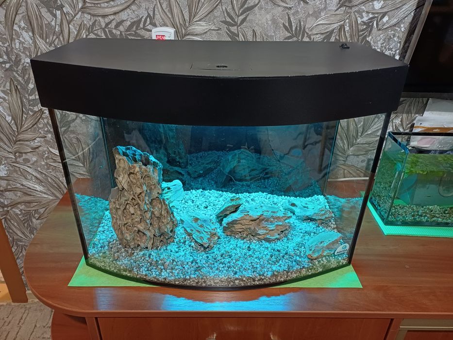 Террариум большой