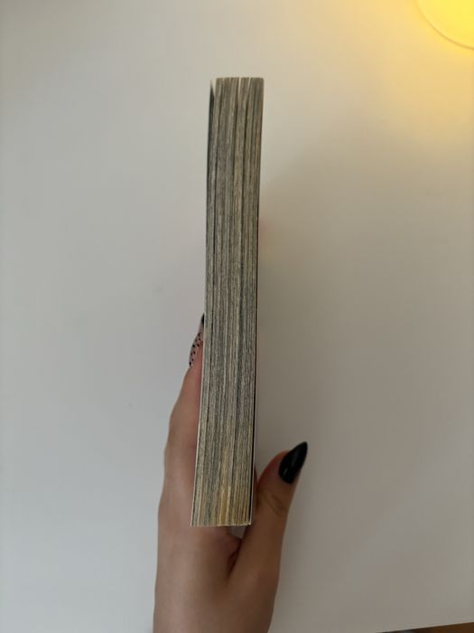 Mangá My Hero Academia SJ 2