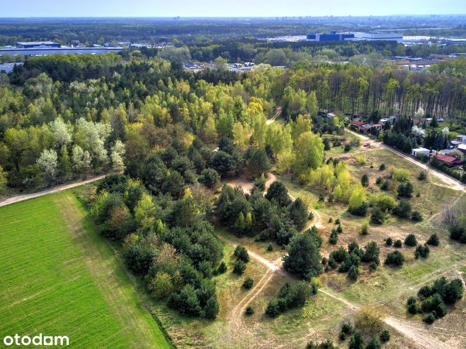 9943 m² z MPZP (20%) - idealna dla inwestora / developera. Przy lesie. - Widok 4
