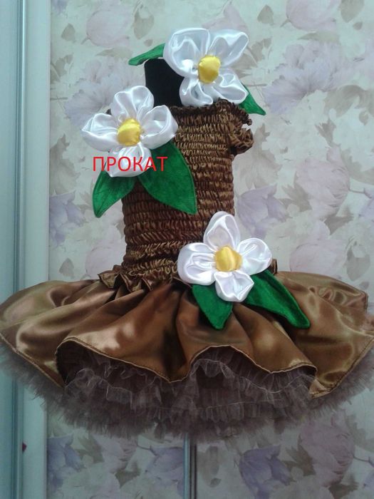 Костюм білочки,ляльки,квасолі,картоплі,бджілки,сніжинки,східна красуня,кішки,на випуск,нарядна сукня. Прокат