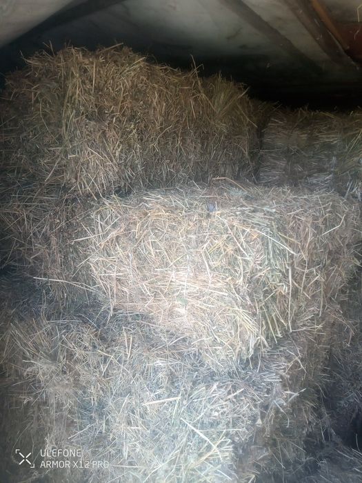 Продам сіно в тюках