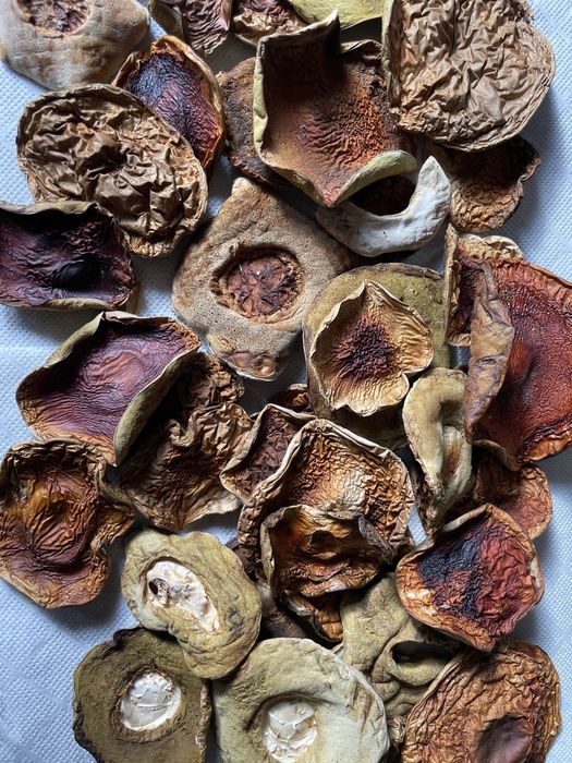 Grzyby suszone - kapelusze