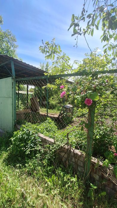 Продам дачу участок Самаровка СТ Агрус