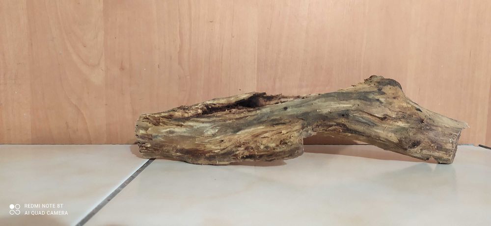 Konar do akwarium-25 cm