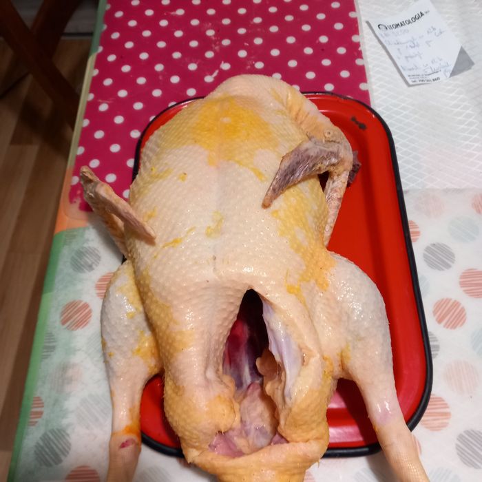 Tuszki kaczek Pekin