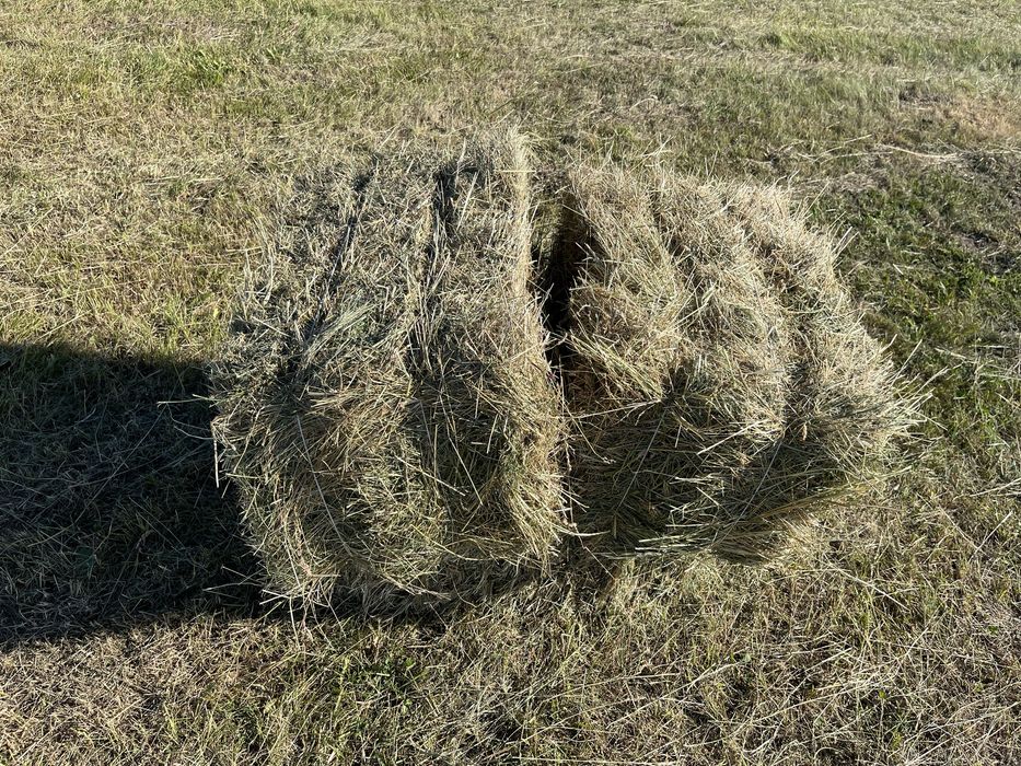 Сіно різнотравʼя в тюках.