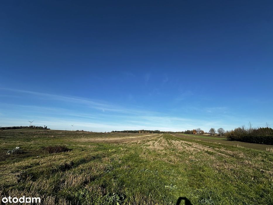 Okazja, Działka Rolno-Budowlana 13900 m² , Sadowiec - Widok 2