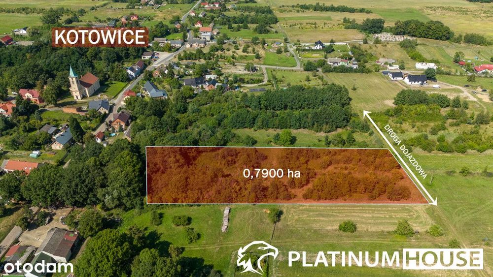 działka 7 900 m² z Decyzją O Warunkach Zabudowy